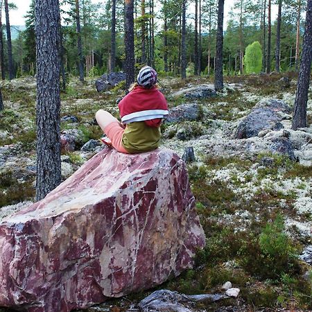 12 - Fulufjellets Nasjonalparker - Natur-, Dyre- Og Fugleopplevelser Ljørdal Extérieur photo