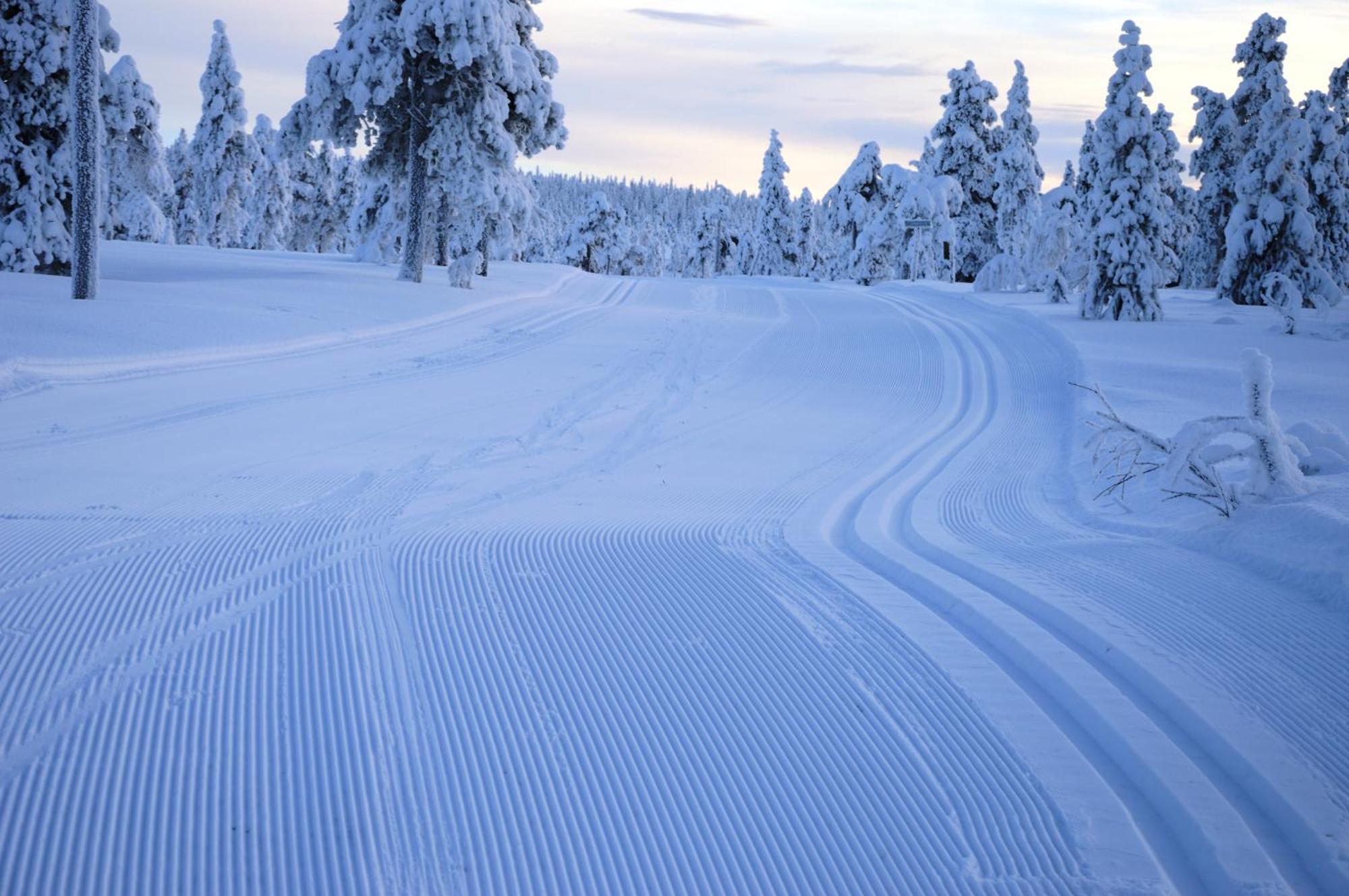 12 - Fulufjellets Nasjonalparker - Natur-, Dyre- Og Fugleopplevelser Ljørdal Extérieur photo