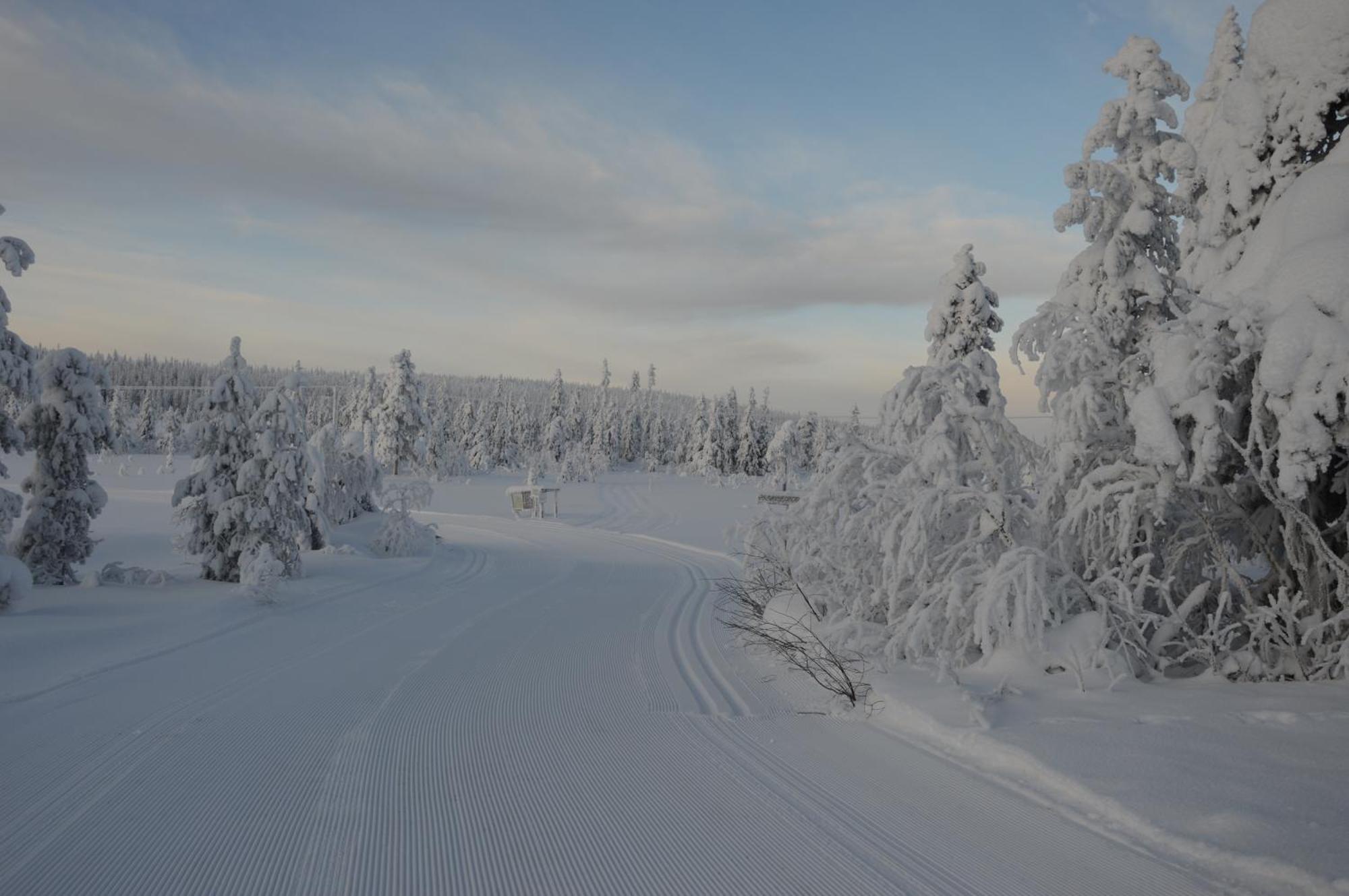 12 - Fulufjellets Nasjonalparker - Natur-, Dyre- Og Fugleopplevelser Ljørdal Extérieur photo