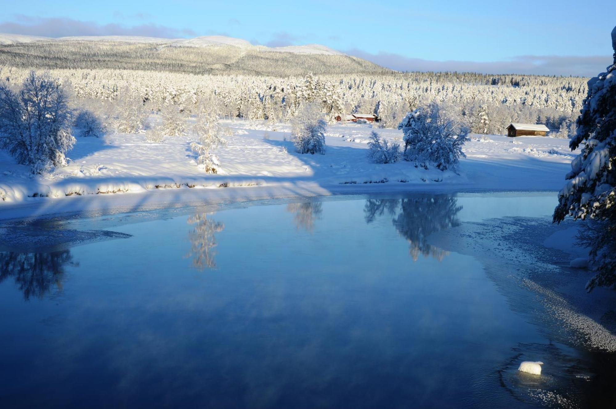 12 - Fulufjellets Nasjonalparker - Natur-, Dyre- Og Fugleopplevelser Ljørdal Extérieur photo