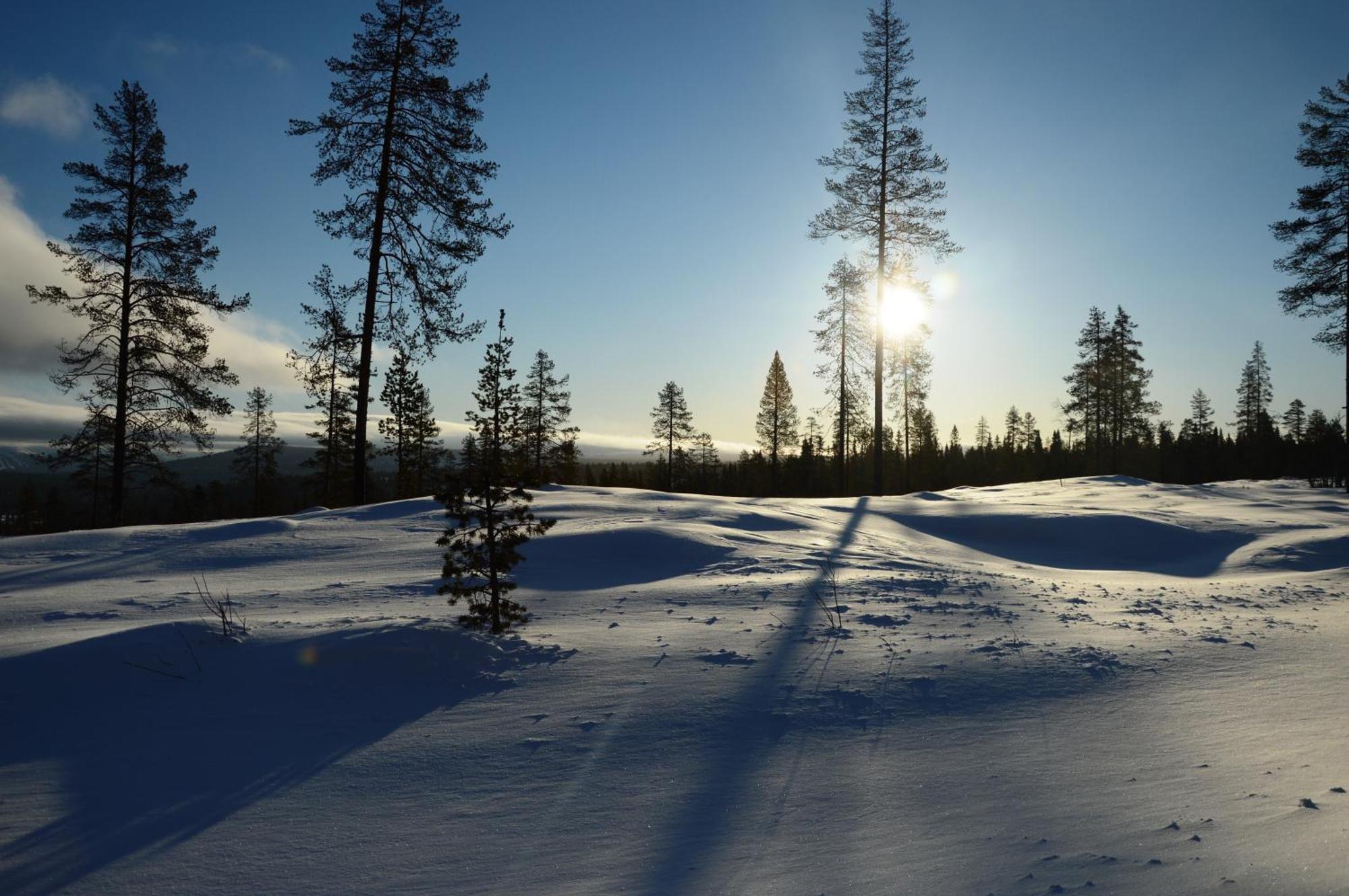 12 - Fulufjellets Nasjonalparker - Natur-, Dyre- Og Fugleopplevelser Ljørdal Extérieur photo