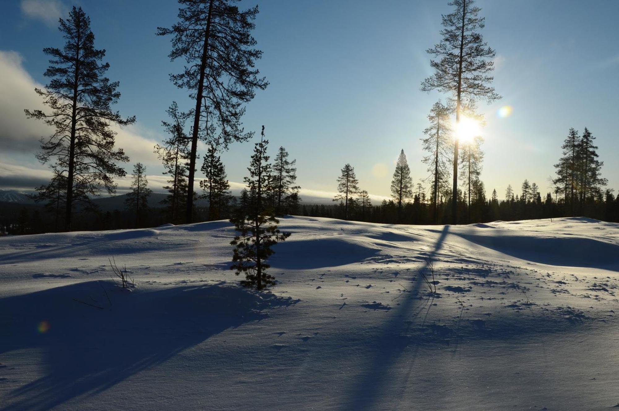 12 - Fulufjellets Nasjonalparker - Natur-, Dyre- Og Fugleopplevelser Ljørdal Extérieur photo