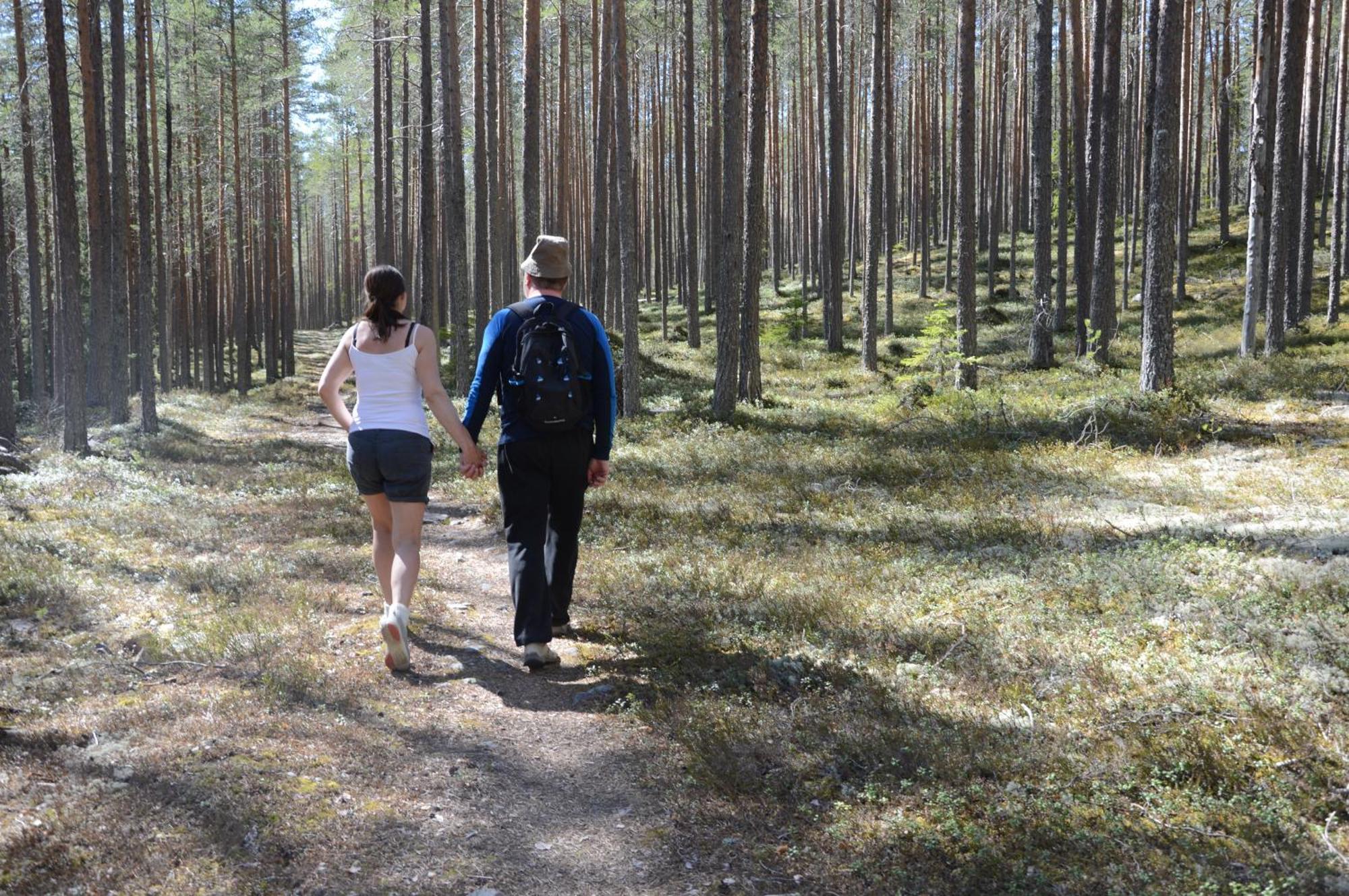 12 - Fulufjellets Nasjonalparker - Natur-, Dyre- Og Fugleopplevelser Ljørdal Extérieur photo