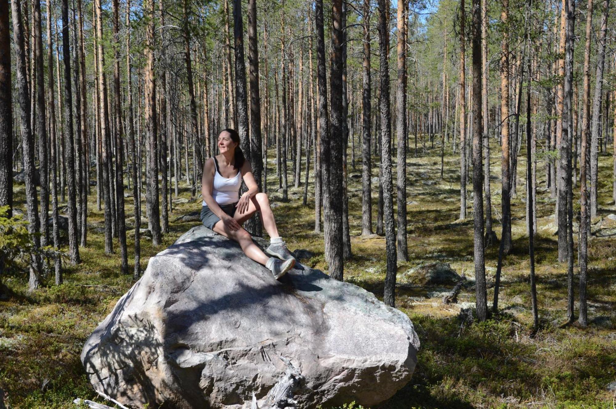 12 - Fulufjellets Nasjonalparker - Natur-, Dyre- Og Fugleopplevelser Ljørdal Extérieur photo