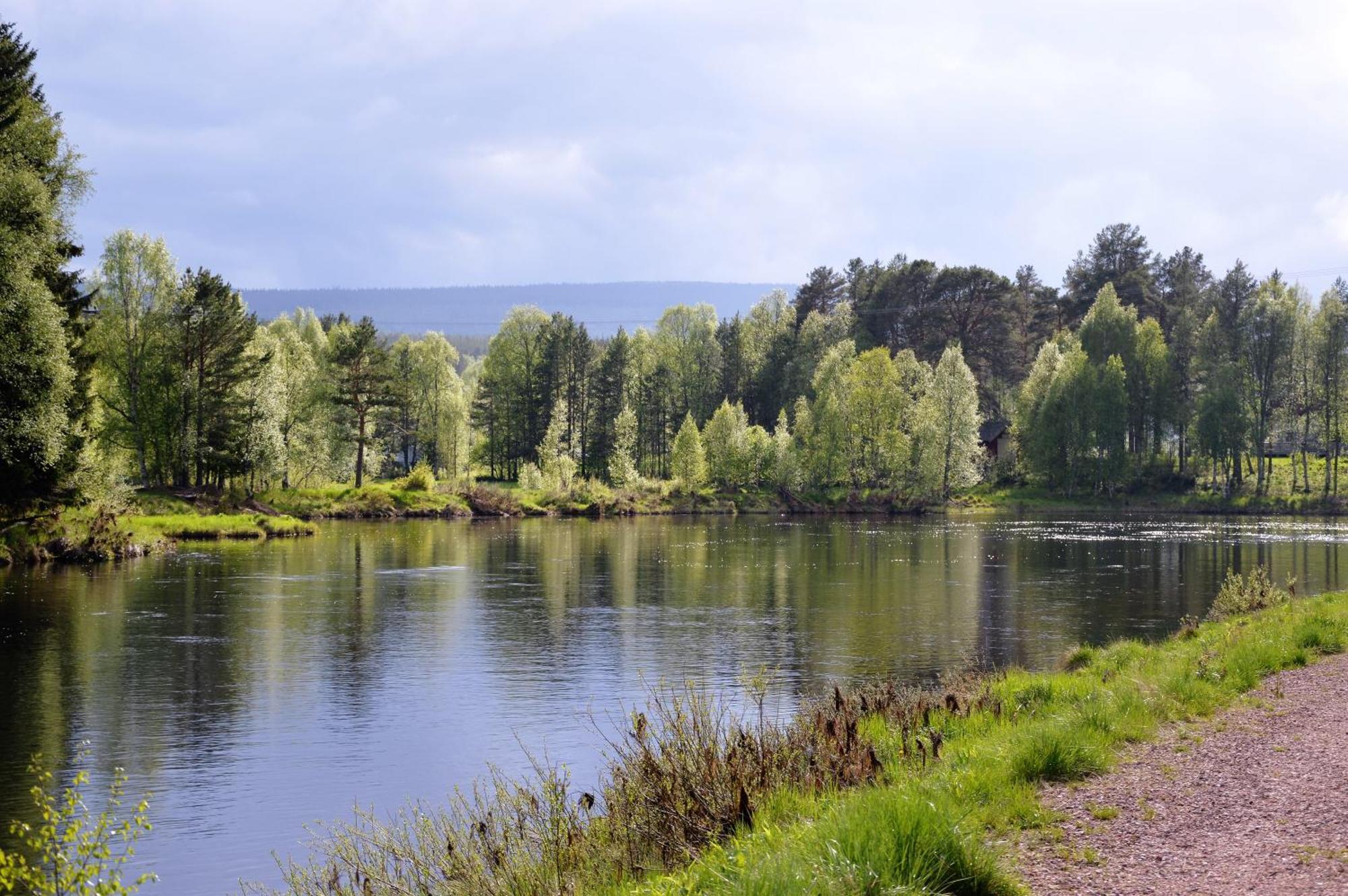 12 - Fulufjellets Nasjonalparker - Natur-, Dyre- Og Fugleopplevelser Ljørdal Extérieur photo