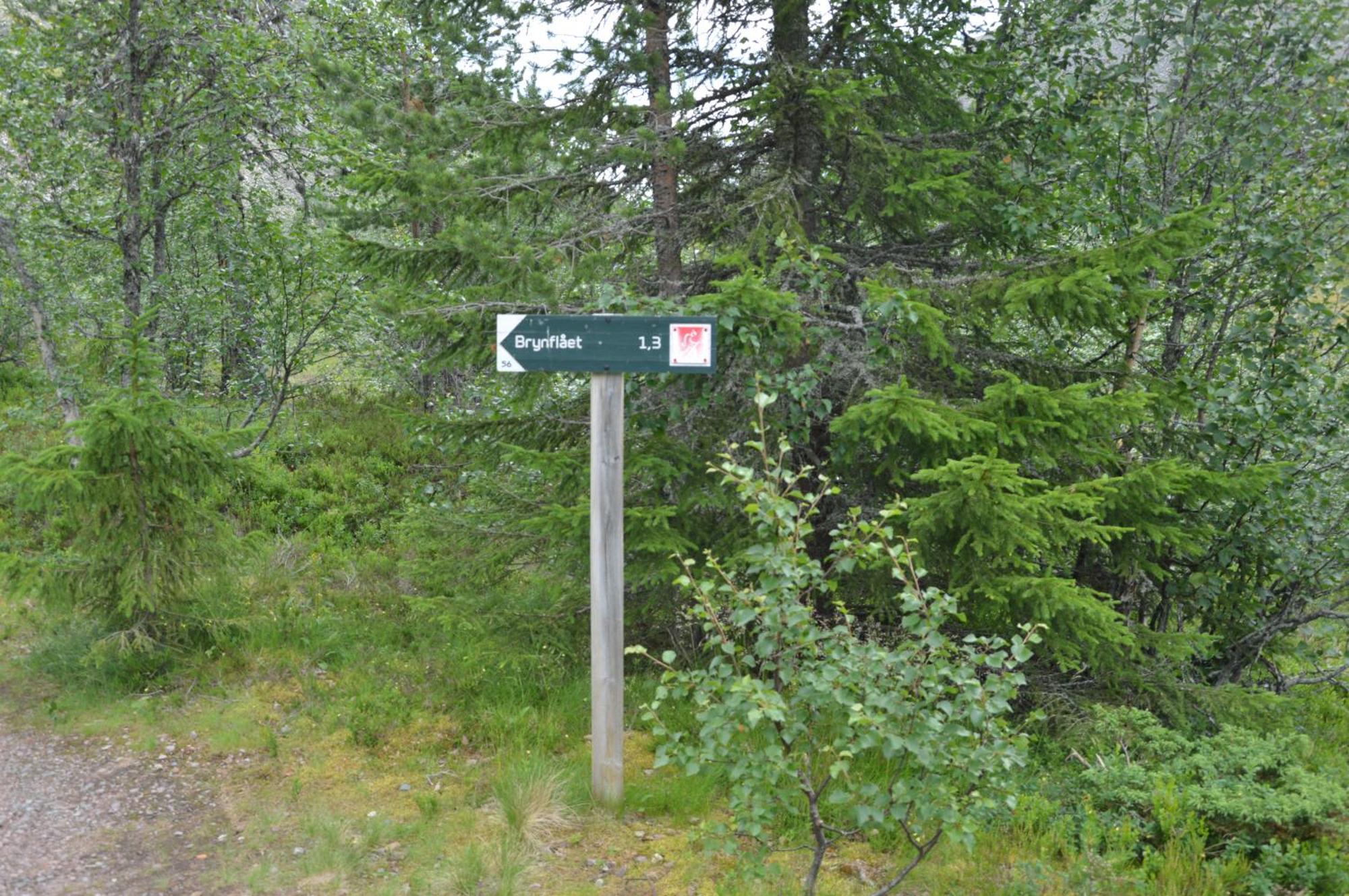12 - Fulufjellets Nasjonalparker - Natur-, Dyre- Og Fugleopplevelser Ljørdal Extérieur photo