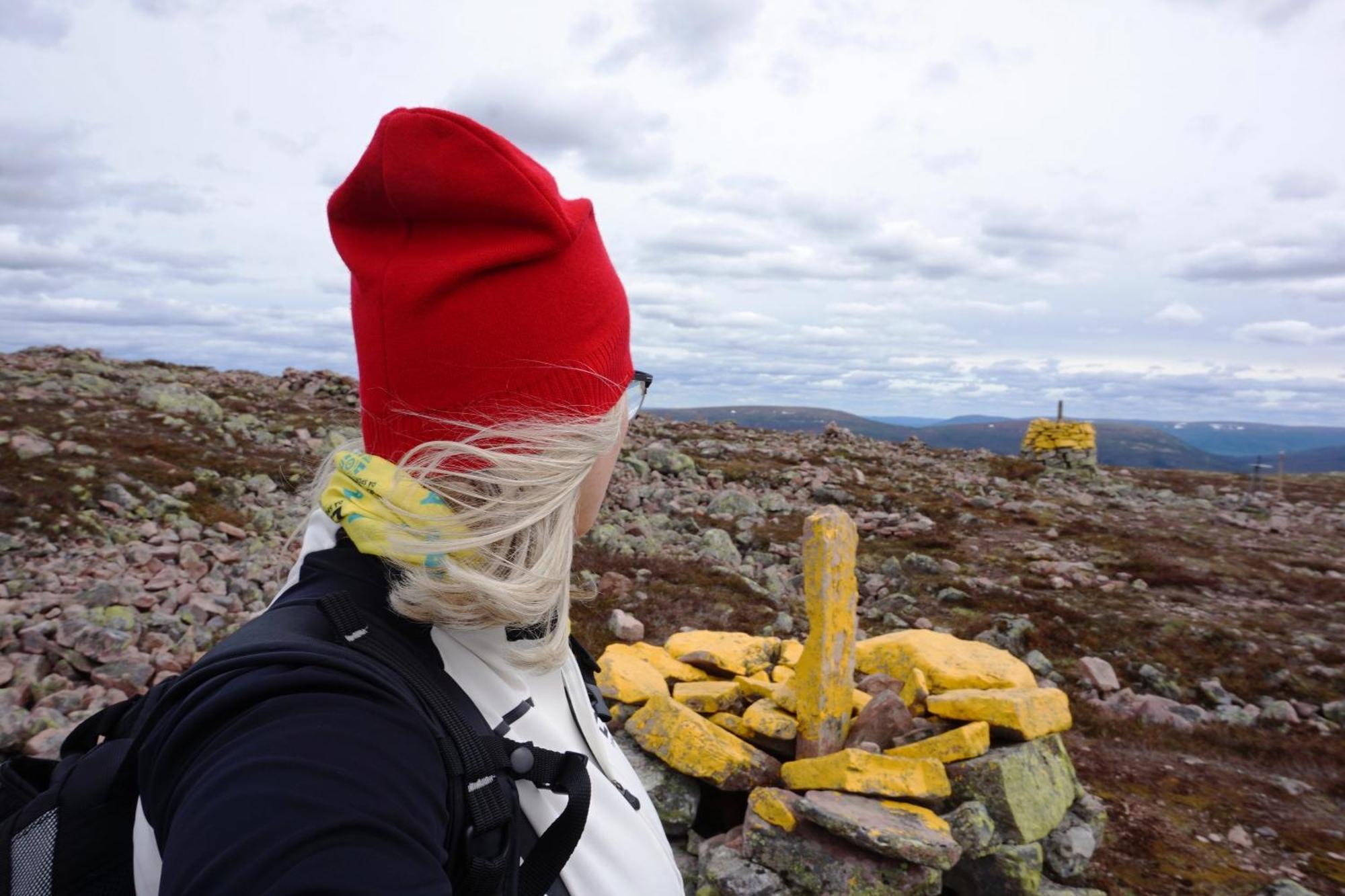 12 - Fulufjellets Nasjonalparker - Natur-, Dyre- Og Fugleopplevelser Ljørdal Extérieur photo