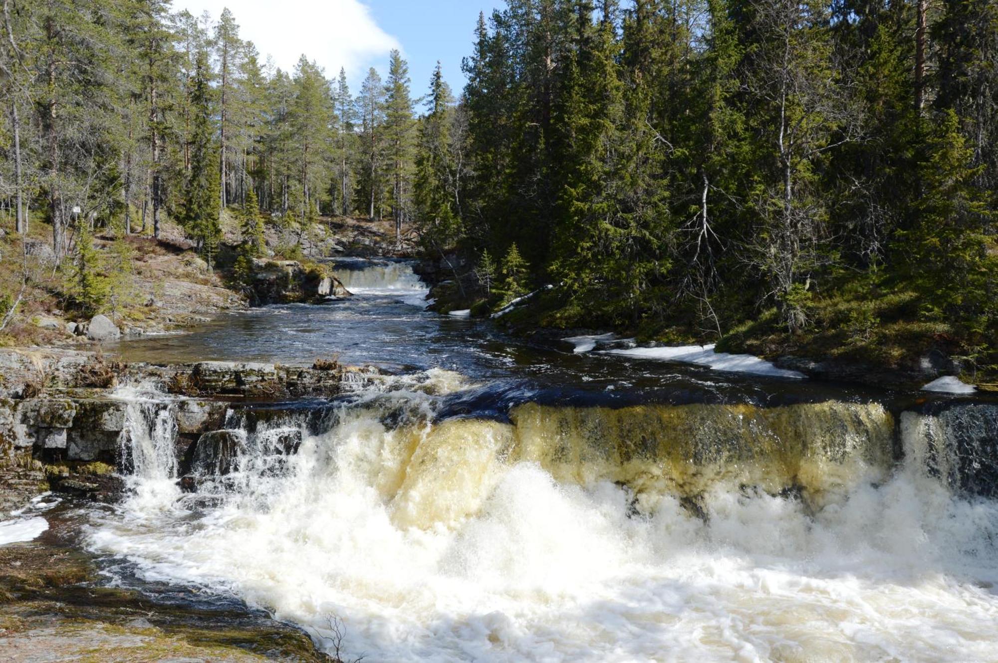 12 - Fulufjellets Nasjonalparker - Natur-, Dyre- Og Fugleopplevelser Ljørdal Extérieur photo