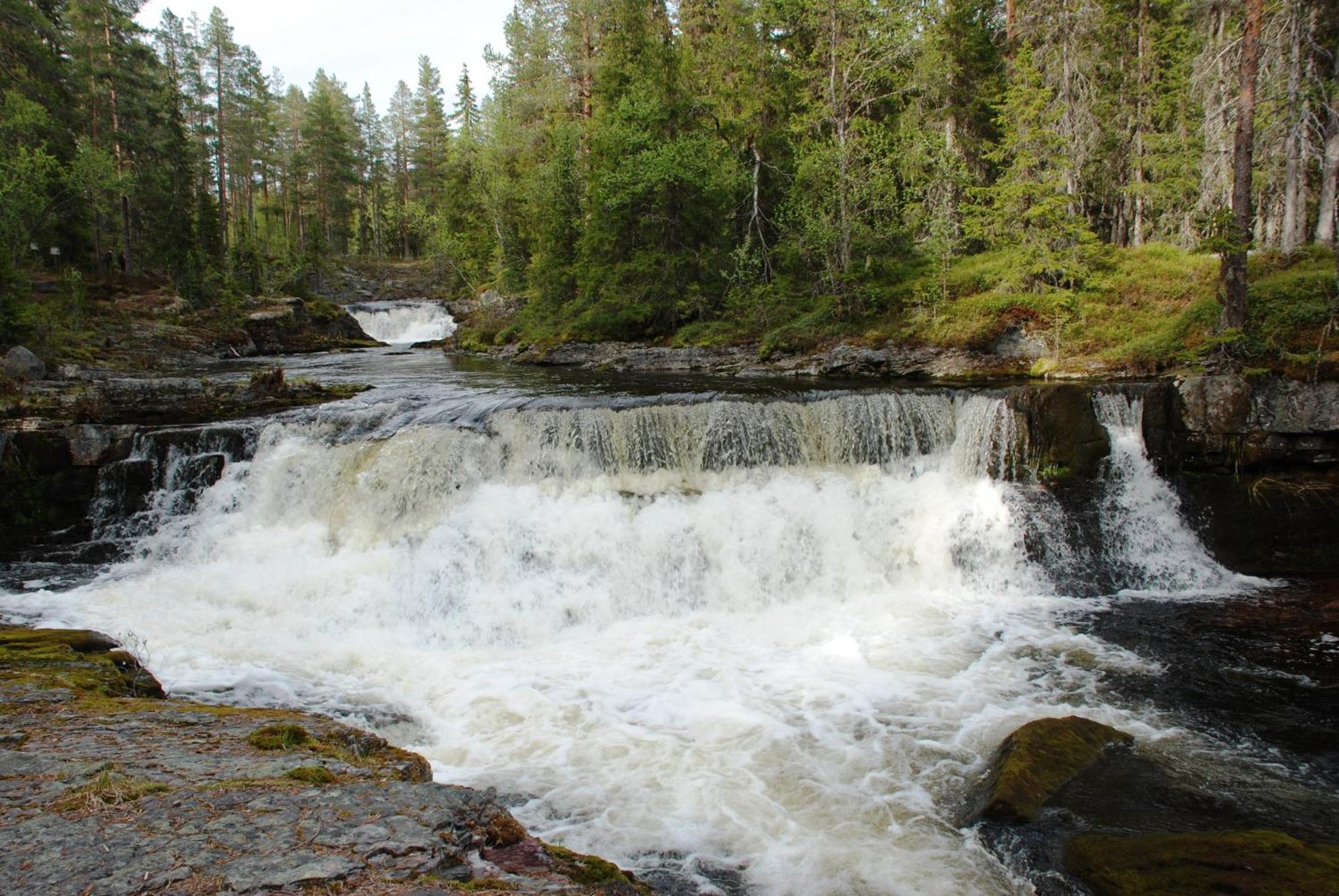 12 - Fulufjellets Nasjonalparker - Natur-, Dyre- Og Fugleopplevelser Ljørdal Extérieur photo
