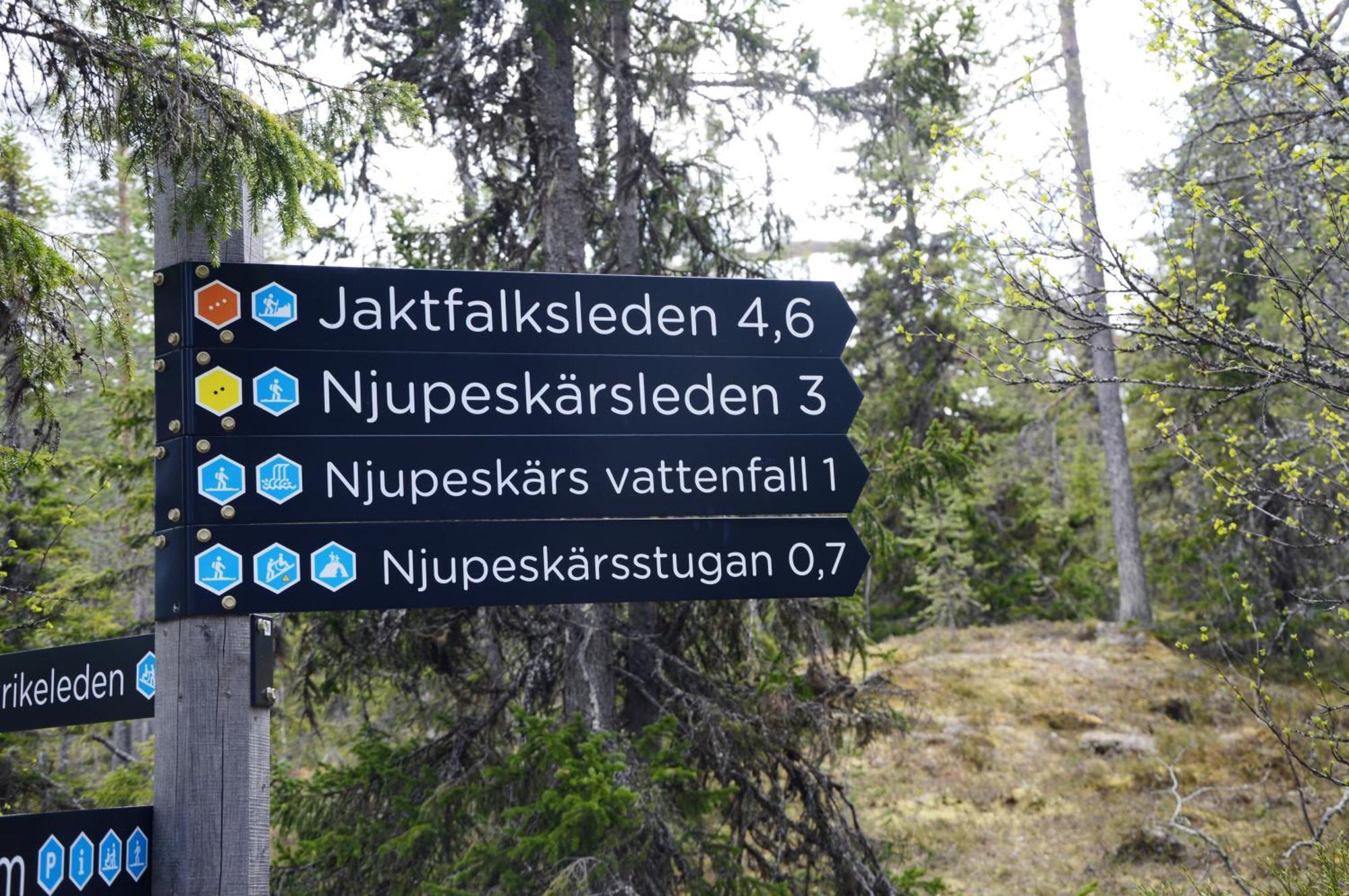 12 - Fulufjellets Nasjonalparker - Natur-, Dyre- Og Fugleopplevelser Ljørdal Extérieur photo
