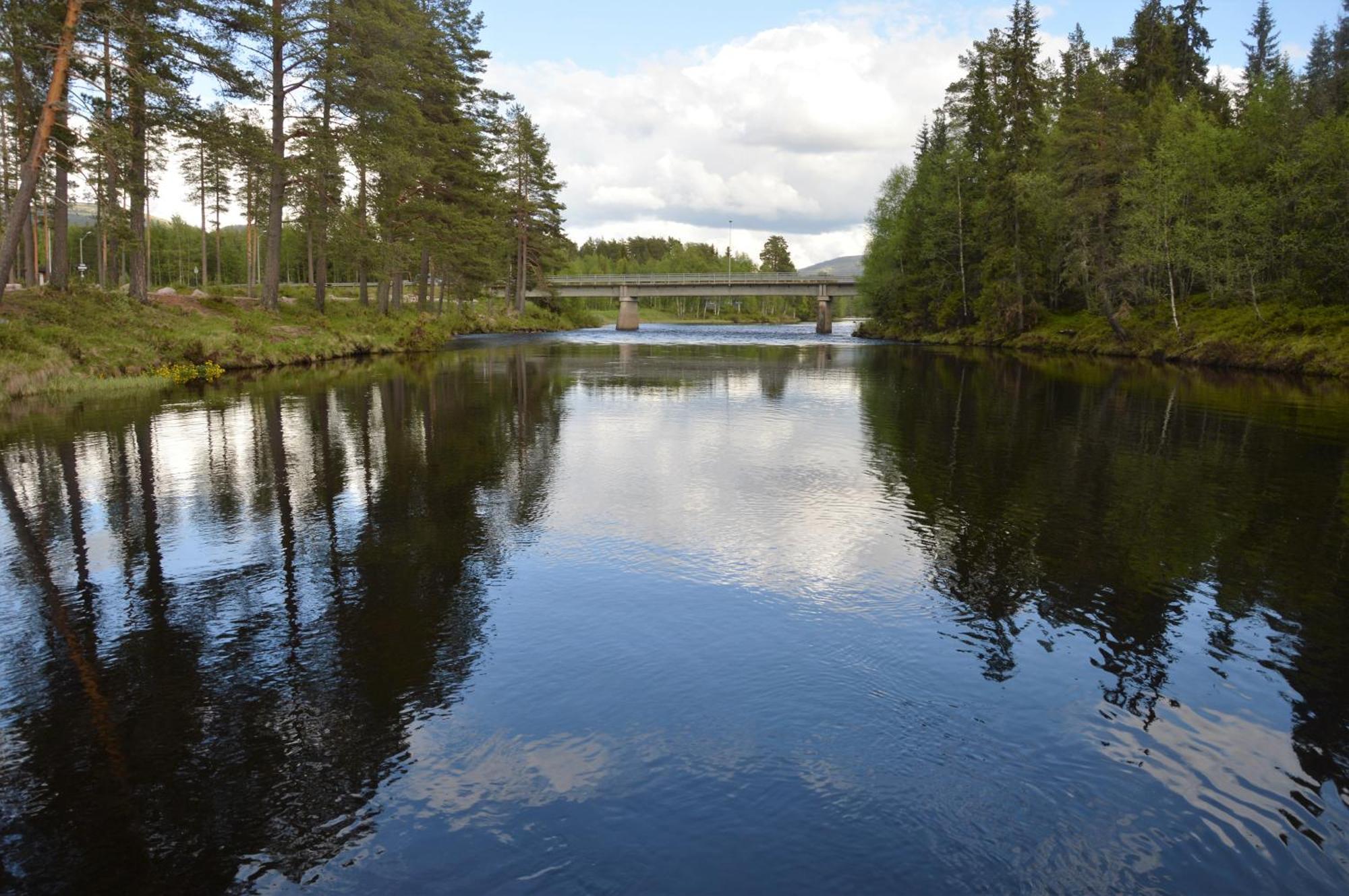 12 - Fulufjellets Nasjonalparker - Natur-, Dyre- Og Fugleopplevelser Ljørdal Extérieur photo